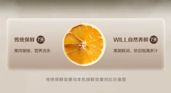 箱如何打破存量市场 “天花板”m6米乐app一路狂飙看容声冰(图2)