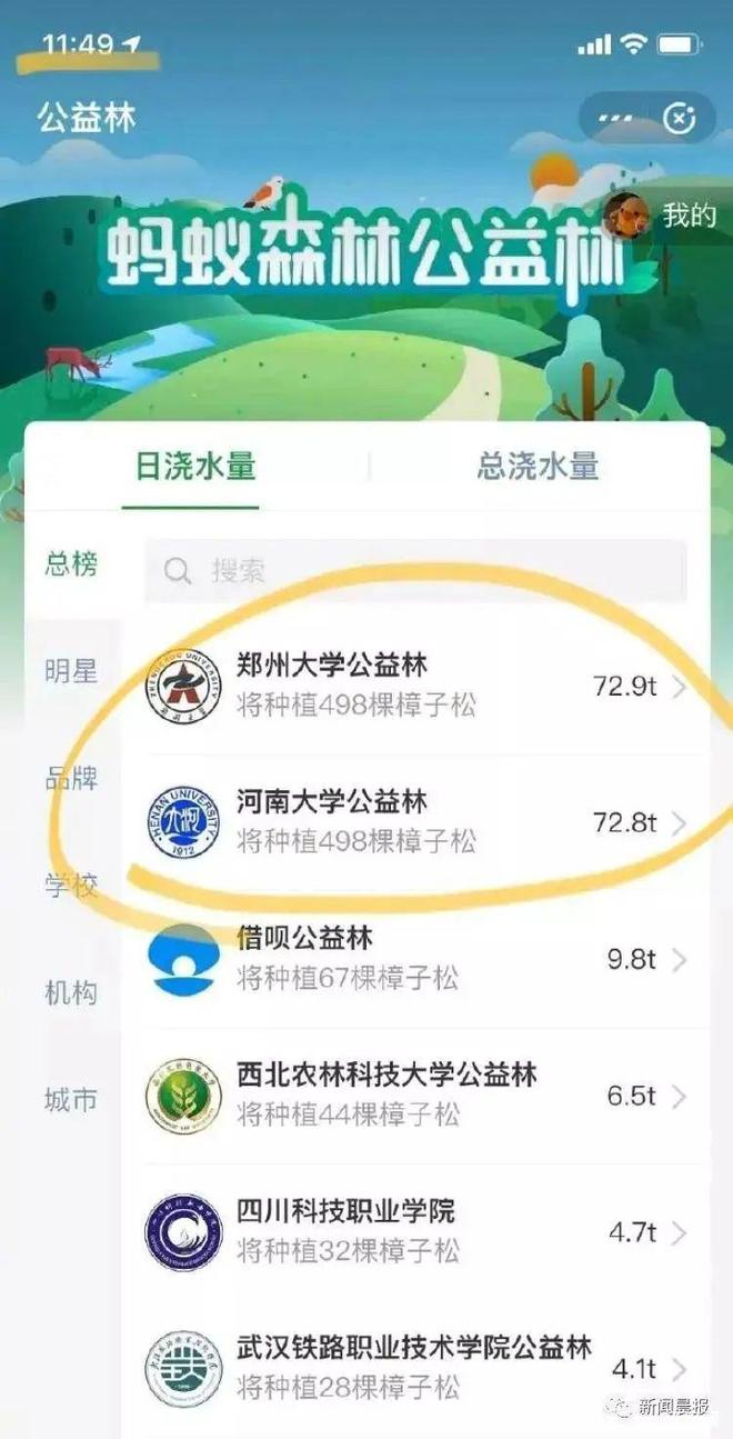 国锦鲤之父”疑似离职阿里创业“80万蓝V总教头”、“中(图19)